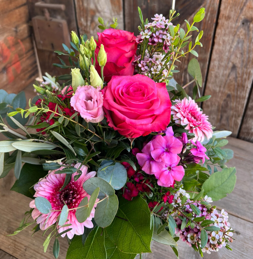 Pink Rosa